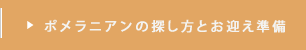 ポメラニアンの探し方とお迎え準備