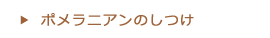 ポメラニアンのしつけ