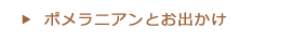 ポメラニアンとお出かけ